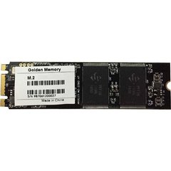 SSD накопичувач Golden Memory 256 GB (GM2280256G) фото