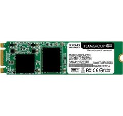 SSD накопичувач TEAM M.2 LITE 512 GB (TM8PS5512GMC101) фото
