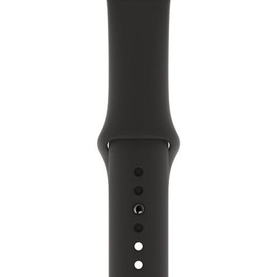 Смарт-годинник Apple Watch Series 5 LTE 44mm Space Black Steel w. Black b.- Space Black Steel (MWW72/MWWK2) фото