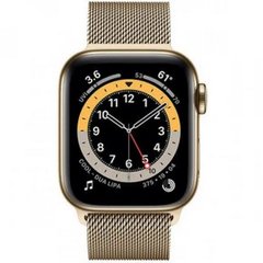 Смарт-часы Apple Watch Series 6 GPS + Cellular 40mm Graphite S. Steel Case w. Gold Milanese Loop (M0DF3/M0DW3) фото