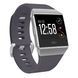 Fitbit Ionic Silver Gray/Blue Gray One Size (FB503WTGY)