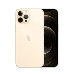 Смартфон Apple iPhone 12 Pro Max 128GB Dual Sim Gold (MGC23) фото