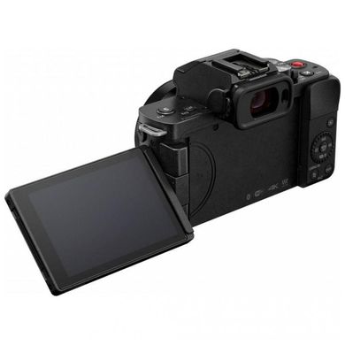 Фотоаппарат Panasonic Lumix DC-G100 kit (12-32mm) (DC-G100KEE-K) фото