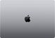 Apple MacBook Pro 16” Space Gray 2021 (Z14W0001J) подробные фото товара