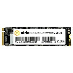 SSD накопитель ATRIA 256GB X500S (ATNVMX500S/256) фото