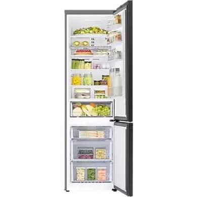 Холодильники SAMSUNG RB38A6B2EB1 фото