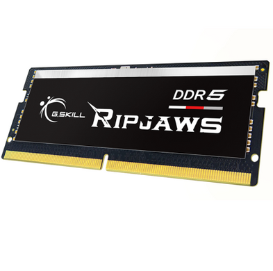 Оперативна пам'ять G.Skill 16GB DDR5 5600 MHz Ripjaws SODIMM (F5-5600S4040A16GX1-RS) фото