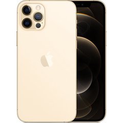 Смартфон Apple iPhone 12 Pro 256GB Gold (MGMR3/MGLV3) фото