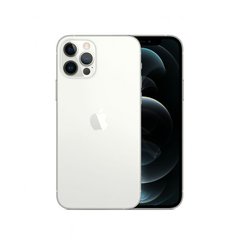 Смартфон Apple iPhone 12 Pro 512GB Dual Sim Silver (MGLK3) фото