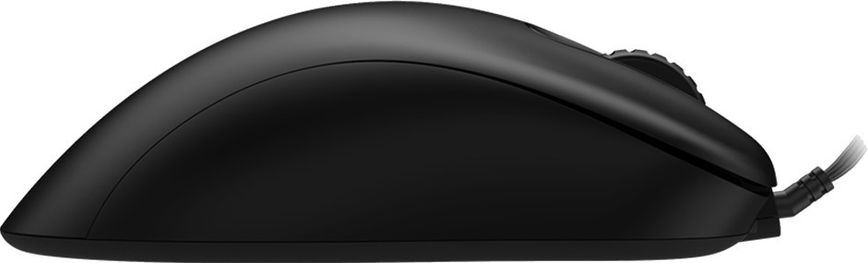 Мышь компьютерная Zowie EC2-C Black (9H.N3ABA.A2E) фото