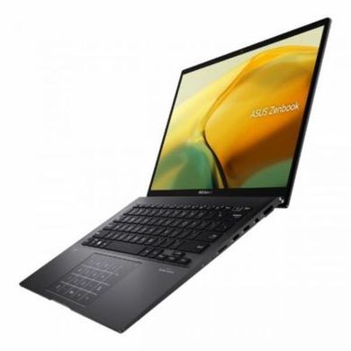 Ноутбук ASUS ZenBook 14 UM3402YA (UM3402YA-DS71, 90NB0W95-M006S0) фото