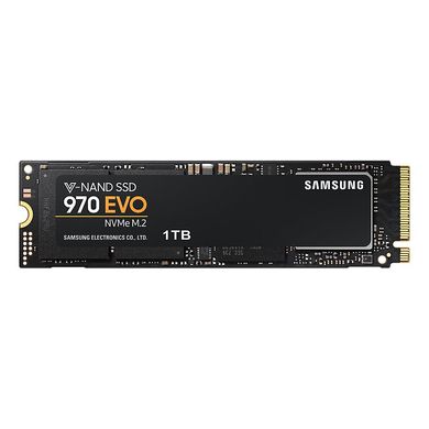 SSD накопитель Samsung 970 EVO 1 TB (MZ-V7E1T0BW) фото