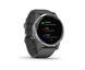 Garmin vivoactive 4 Silver Stainless Steel Bezel w. Shadow Gray and Silicone B. (010-02174-01)