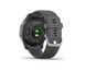 Garmin vivoactive 4 Silver Stainless Steel Bezel w. Shadow Gray and Silicone B. (010-02174-01)