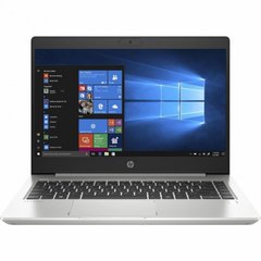 Ноутбуки HP ProBook 445 G7 Silver (7RX17AV_V10)