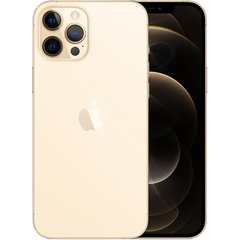 Смартфон Apple iPhone 12 Pro Max 256GB Gold (MGDE3) фото