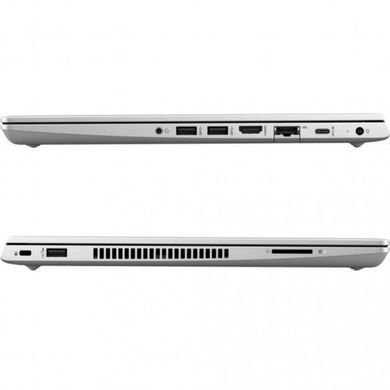 Ноутбук HP ProBook 445 G7 Silver (7RX17AV_V10) фото