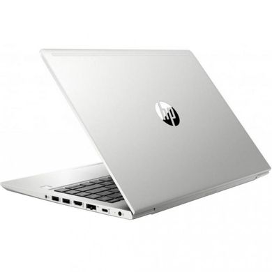 Ноутбук HP ProBook 445 G7 Silver (7RX17AV_V10) фото