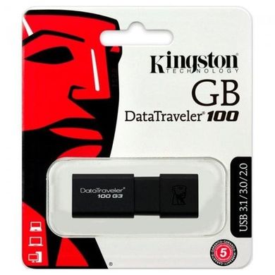 Flash пам'ять Kingston 256 GB DataTraveler 100 G3 USB3.0 (DT100G3/256GB) фото