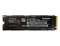 SSD накопичувач Samsung 960 EVO (MZ-V6E250BW) фото