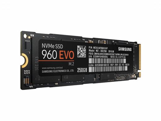 SSD накопитель Samsung 960 EVO (MZ-V6E250BW) фото