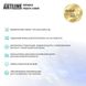 ARTLINE Business X26 (X26v21) подробные фото товара