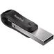 SanDisk 256 GB iXpand Go USB/Lightning (SDIX60N-256G-GN6NE) подробные фото товара