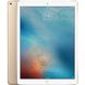 Apple iPad Pro 12.9 Wi-Fi + Cellular 128GB Gold (ML3Q2, ML2K2) детальні фото товару