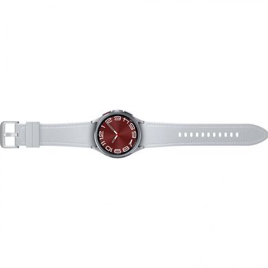 Смарт-годинник Samsung Galaxy Watch6 Classic 43mm eSIM Silver (SM-R955FZSA) фото