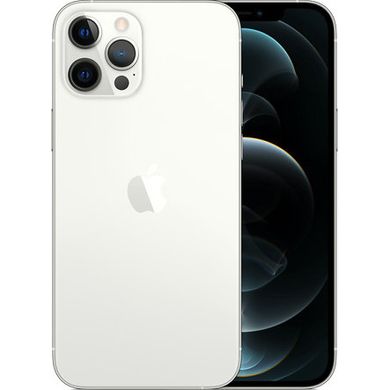 Смартфон Apple iPhone 12 Pro Max 256GB Silver (MGDD3) фото