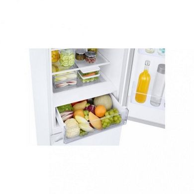 Холодильники Samsung RB38T600FWW/UA фото