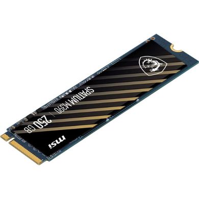SSD накопитель MSI Spatium M390 250GB (S78-4409PY0-P83) фото