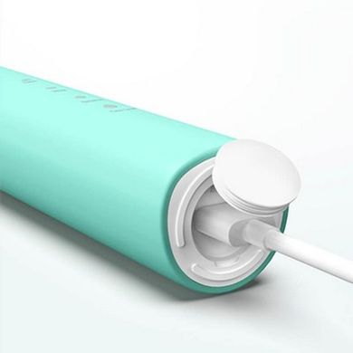 Електричні зубні щітки JIMMY Sonic Electric Toothbrush T6 фото