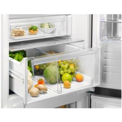Встраиваемые холодильники Electrolux RNT6TE19S0 фото