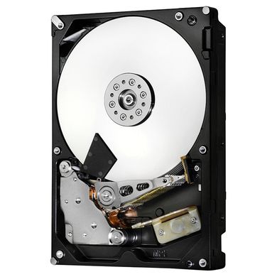 Жорсткий диск HGST Deskstar NAS 10 TB (H3IKNAS1000025672SWW/0S04037) фото