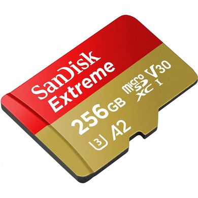 Карта памяти SanDisk 256 GB microSDXC Class 10 UHS-I U3 SDSQXA1-256G-GN6MN фото