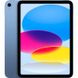 Apple iPad 10.9 2022 Wi-Fi + Cellular 256GB Blue (MQ6U3) детальні фото товару