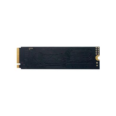 SSD накопичувач PATRIOT P300 512 GB (P300P512GM28) фото