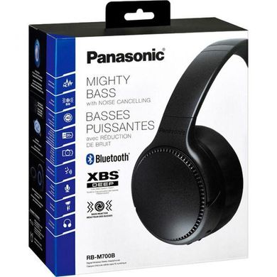 Навушники Panasonic RB-M700BGE-K фото