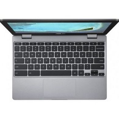 Ноутбук ASUS Chromebook C223NA (C223NA-GJ0055) фото