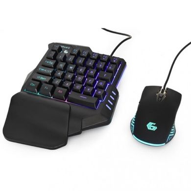 Комплект (клавіатура+миша) Gembird GGS-IVAR-TWIN фото