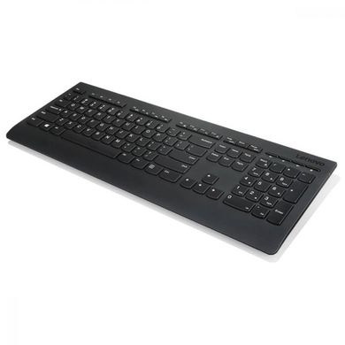 Клавиатура Lenovo Professional Wireless UA Black (4Y41D64797) фото