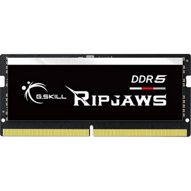 Оперативная память G.SKILL Ripjaws Series 16GB 262-Pin DDR5 SO-DIMM F5-4800S3434A16GX1-RS фото