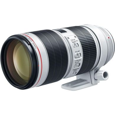 Объектив Canon EF 70-200mm f/2,8L IS III USM (3044C005) фото
