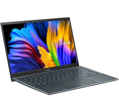 Ноутбук ASUS ZenBook 14 UM425 (UM425QA-KI233W) фото