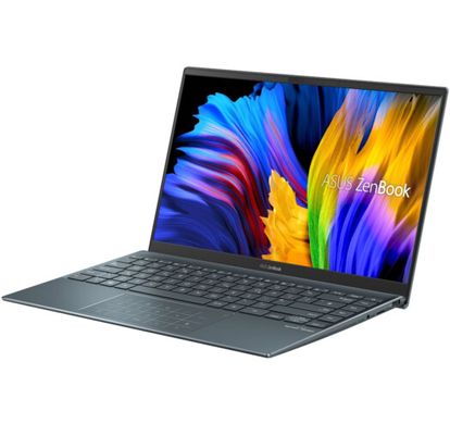 Ноутбук ASUS ZenBook 14 UM425 (UM425QA-KI233W) фото