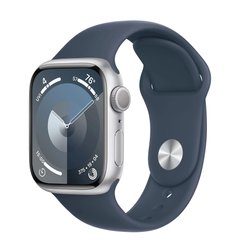 Смарт-годинник Apple Watch Series 9 GPS 41mm Silver Alu. Case w. Storm Blue S. Band - M/L (MR913) фото