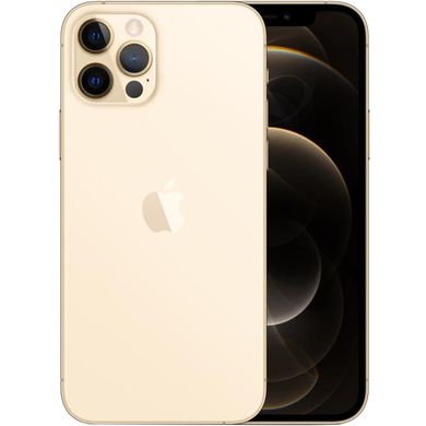 Смартфон Apple iPhone 12 Pro 128GB Dual Sim Gold (MGLC3) фото