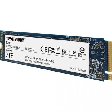 SSD накопичувач PATRIOT P300 2 TB (P300P2TBM28) фото