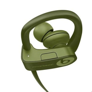 Наушники Beats by Dr. Dre Powerbeats3 Wireless Turf Green (MQ382) фото
